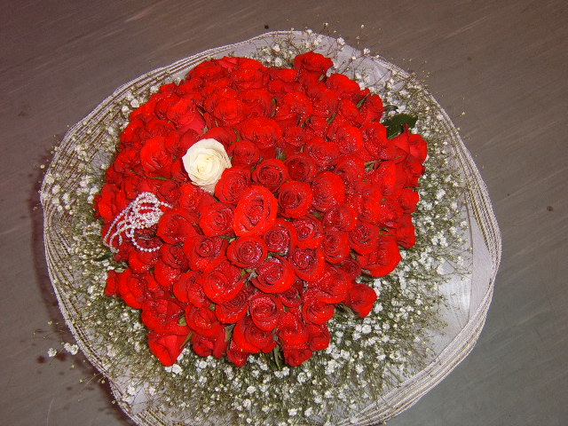 101 ̲ɴٹ